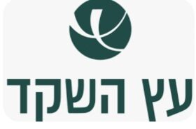 עץ השקד עץ השקד