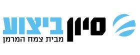 סיון ביצוע סיון ביצוע