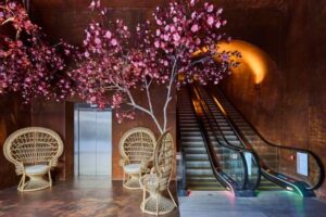 NEW PRODUCT 1 NEW PRODUCT 1